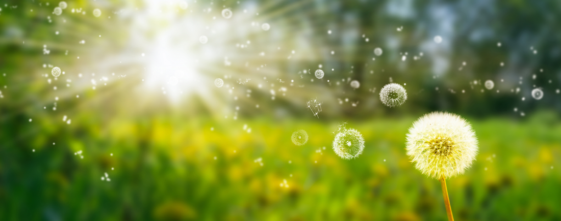 Struggling with Seasonal Allergies? Try Quercetin.