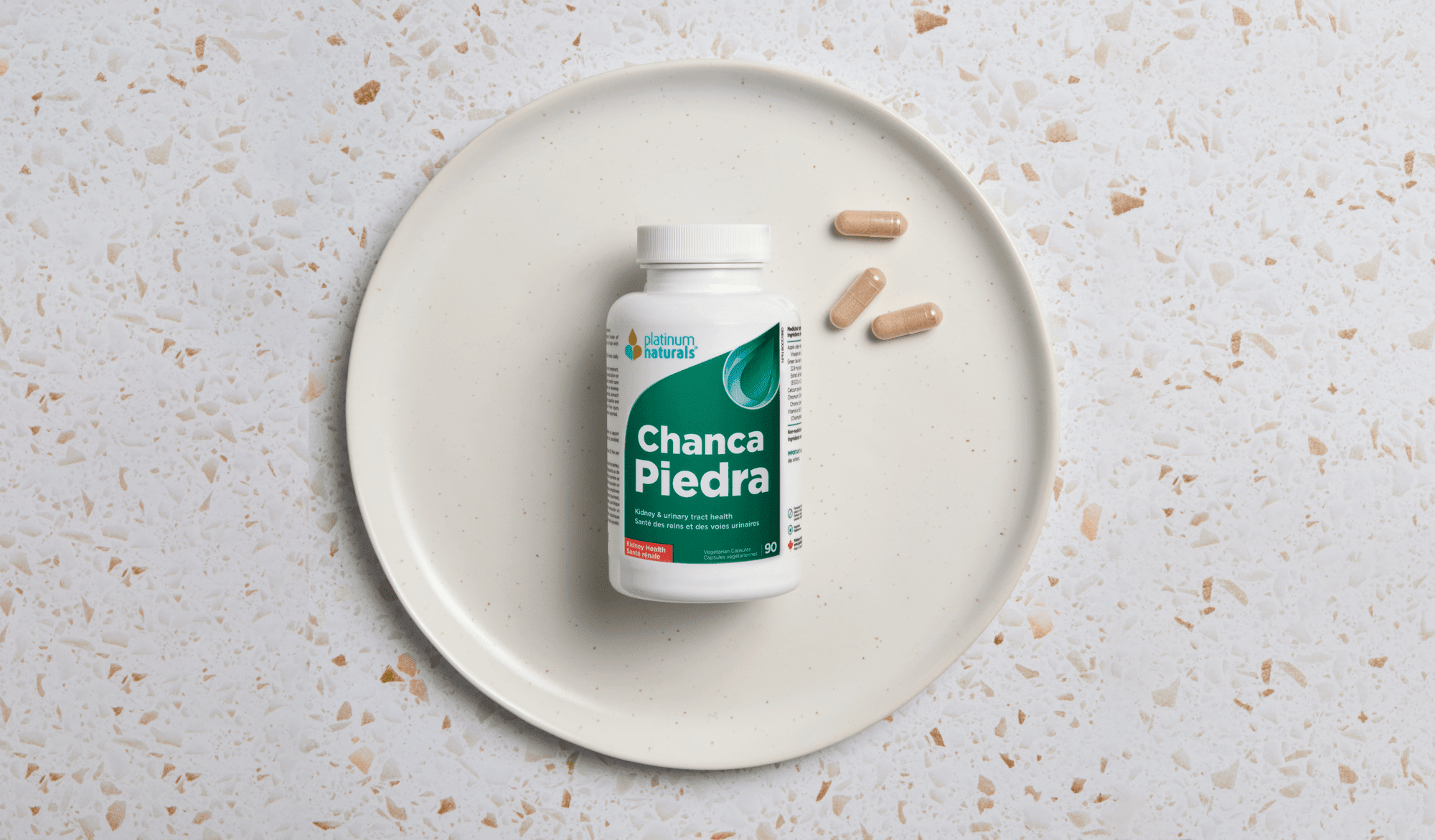Chanca Piedra: The “Stone Breaker” Herb for Kidney and Gallbladder Health